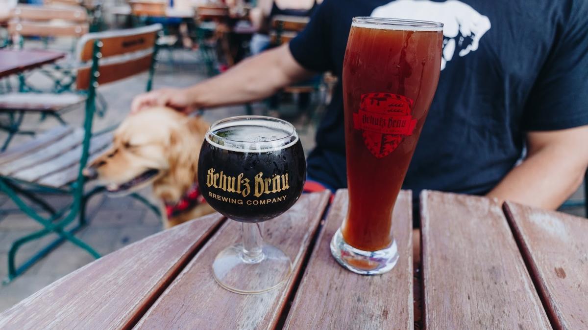 Golden Retriever and Beers at Shulz Brau Brewing