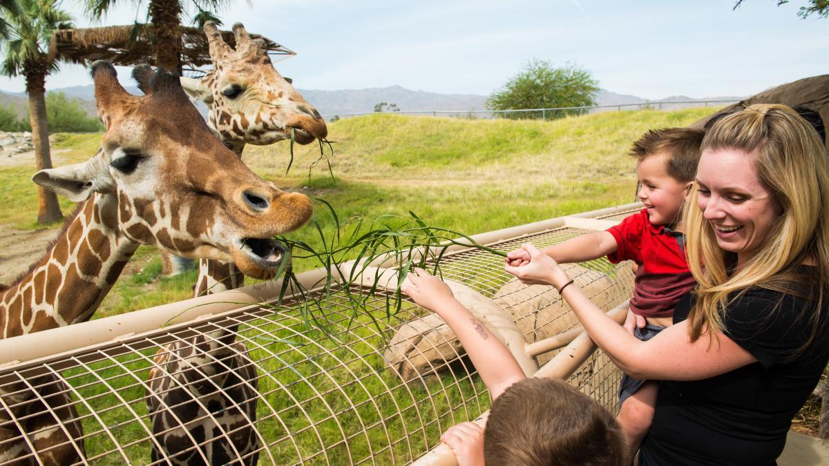 The Living Desert. Photographer: Chris Miller