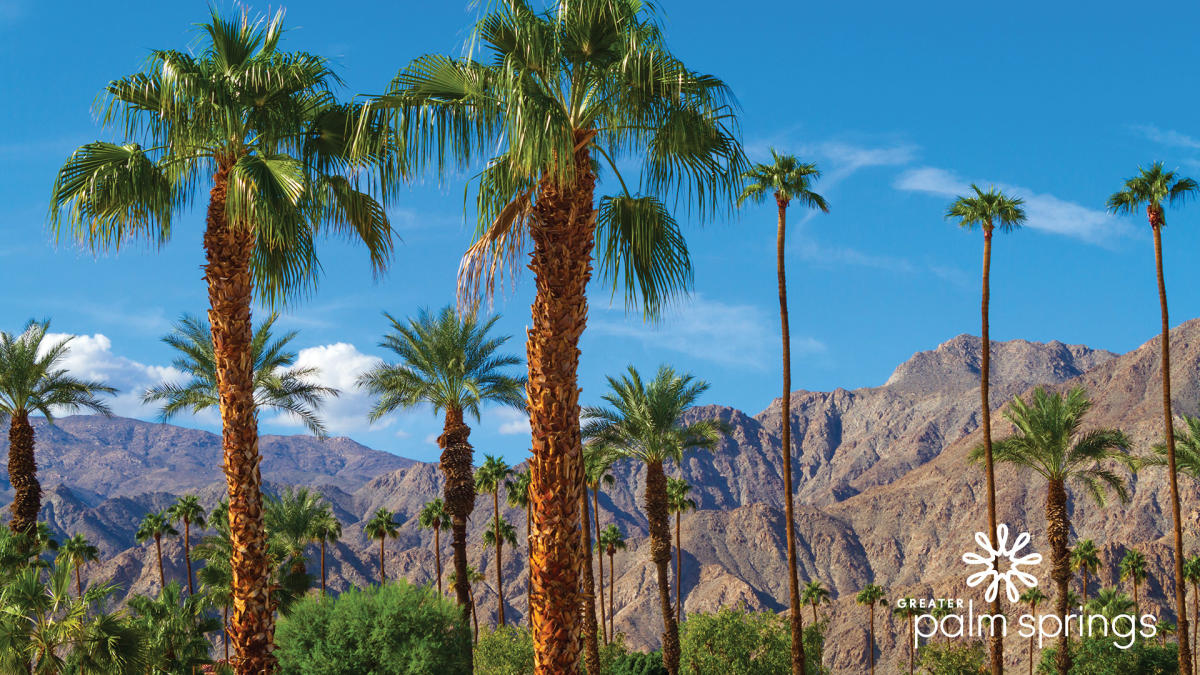Download Scenic Zoom Backgrounds From Greater Palm Springs