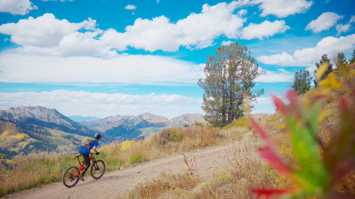 Wasatch Crest Trail Mountain Bike Ride