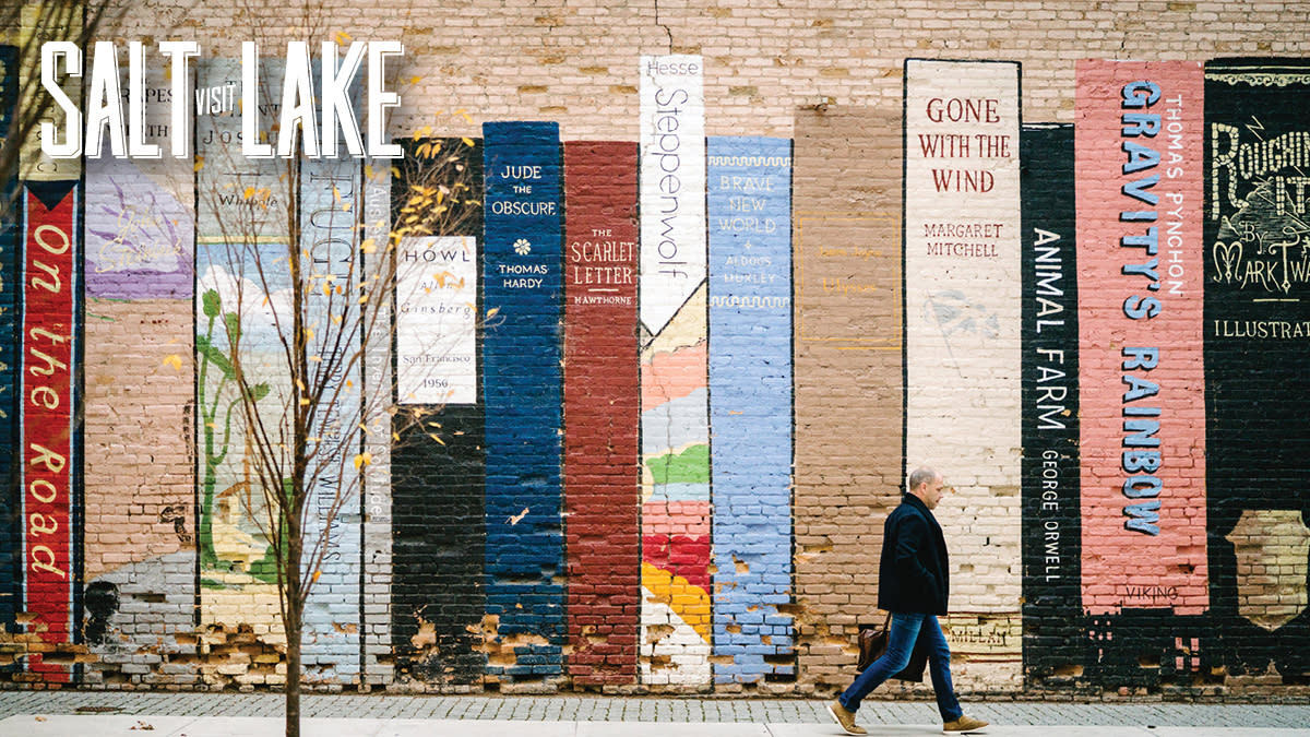 Library Books Mural Zoom Background