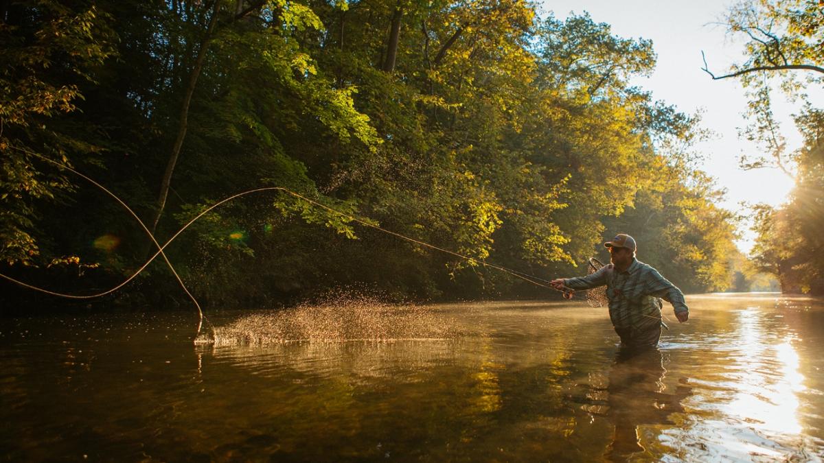 Yellow Breeches Creek Fly-Fishing