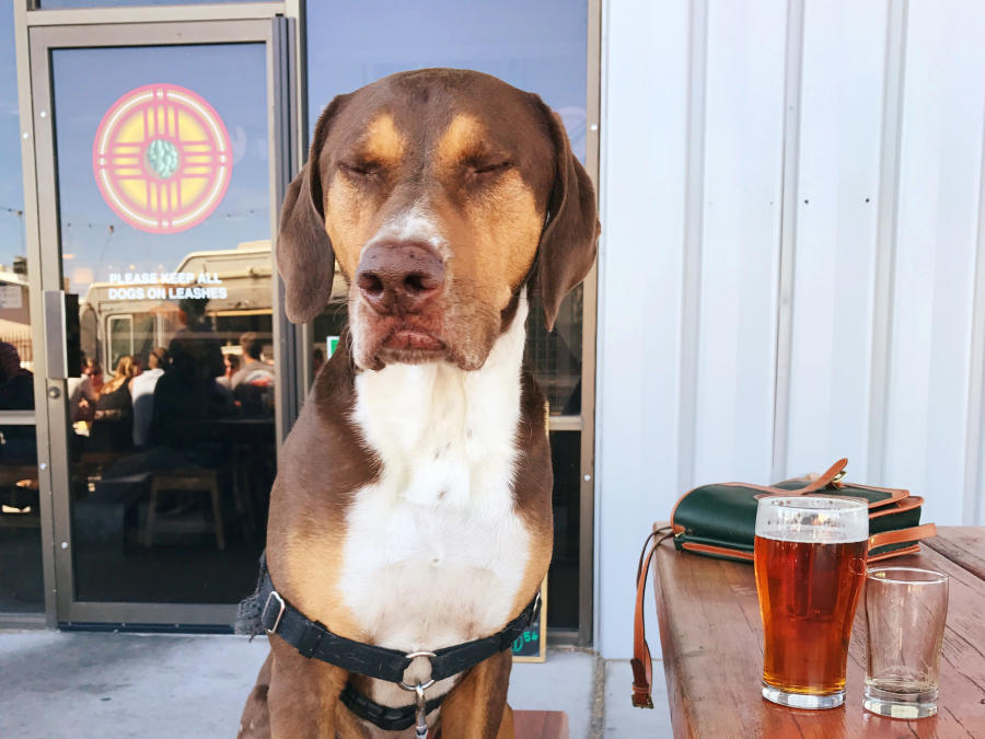 Brewery Dog