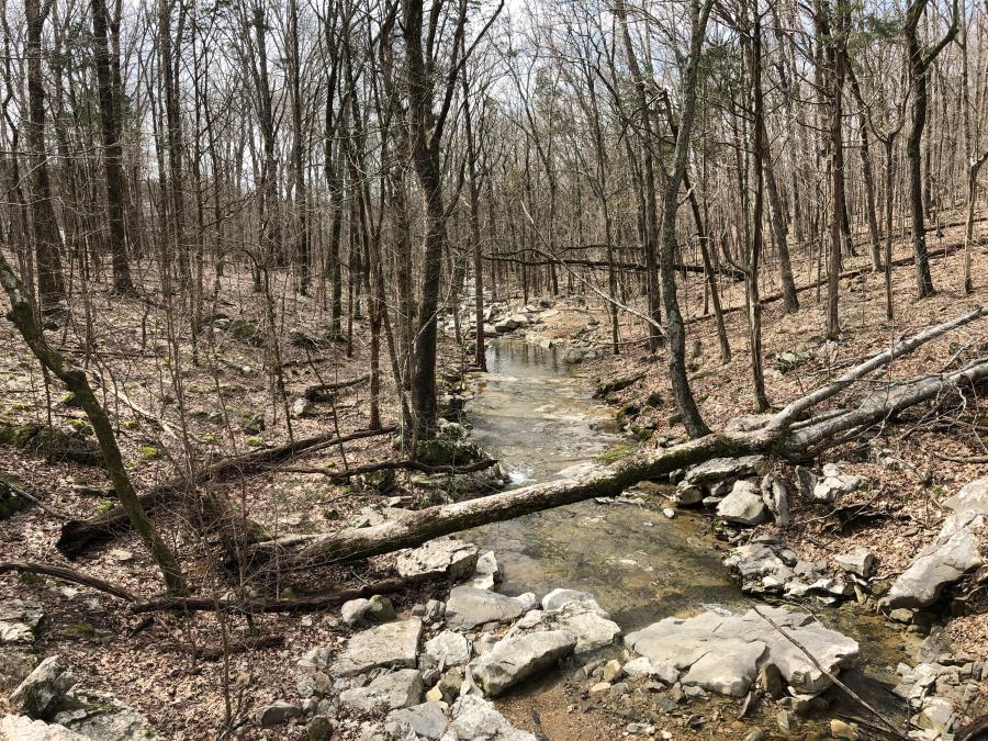 Blevins Valley Loop Downstream