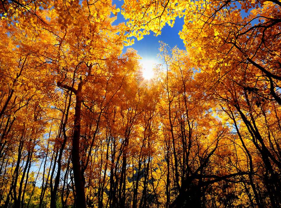 Estes Park Lodging Restaurants Events And Things To Do