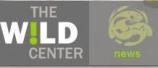 wild-center.JPG