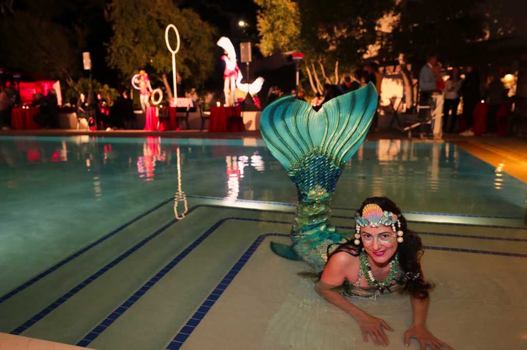 Live Event Entertainment