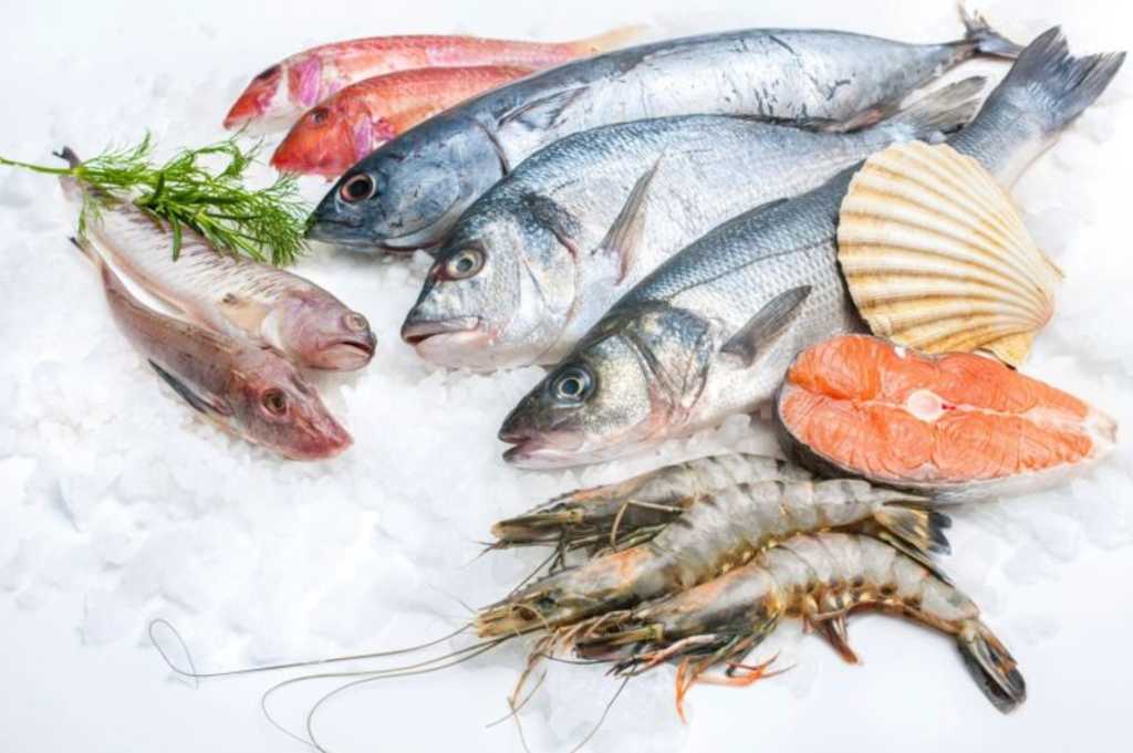 fish