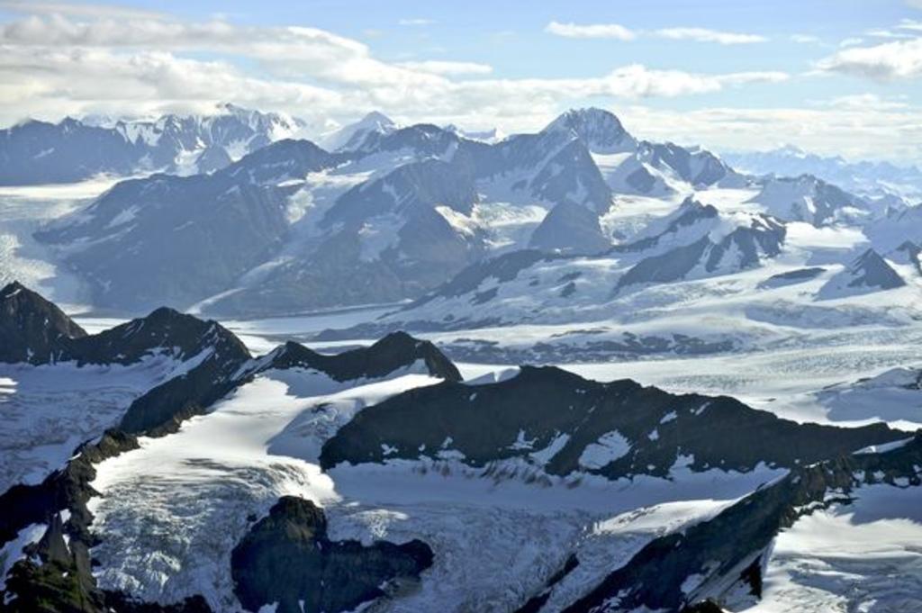 Glacier & Wildlife Flightseeing.jpg