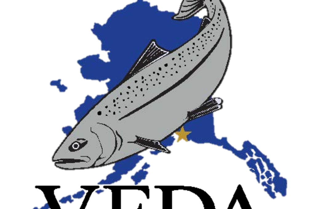 VFDA