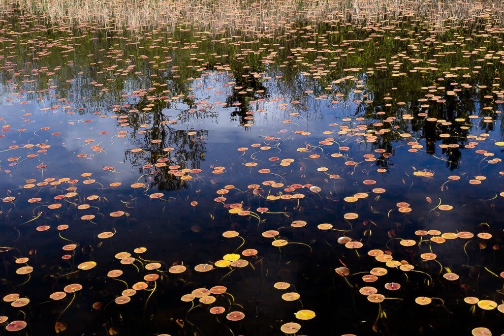 Phantom Lake