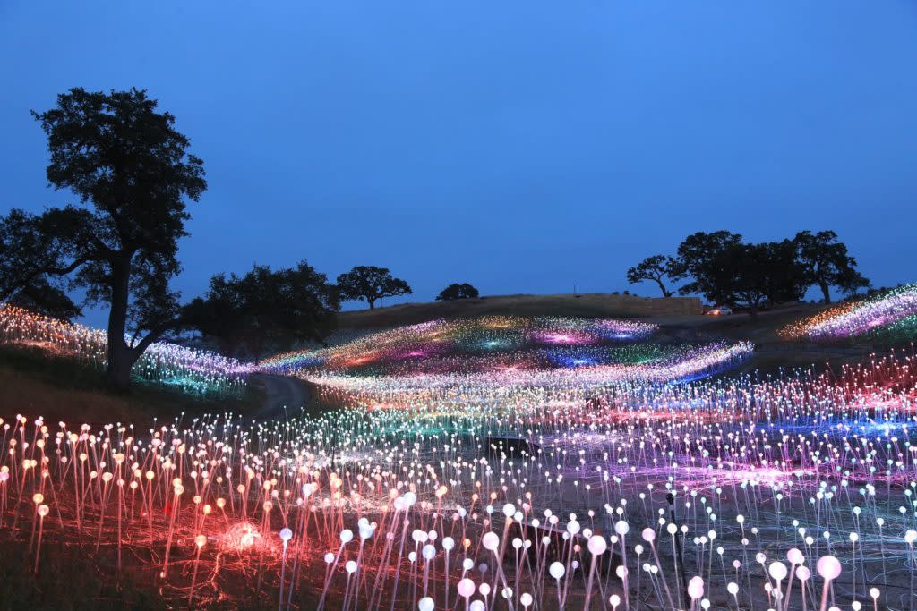 Paso Robles Harvest Festival 2022