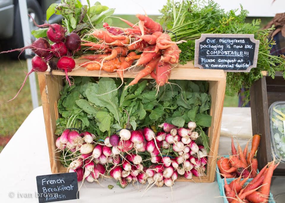 Dorey Park Farmers Market