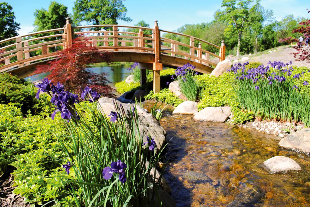 Wellfield-bridge-edit-1024x686