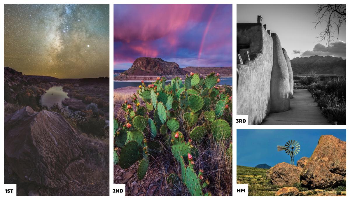 Enchanted Adventures Category Collage