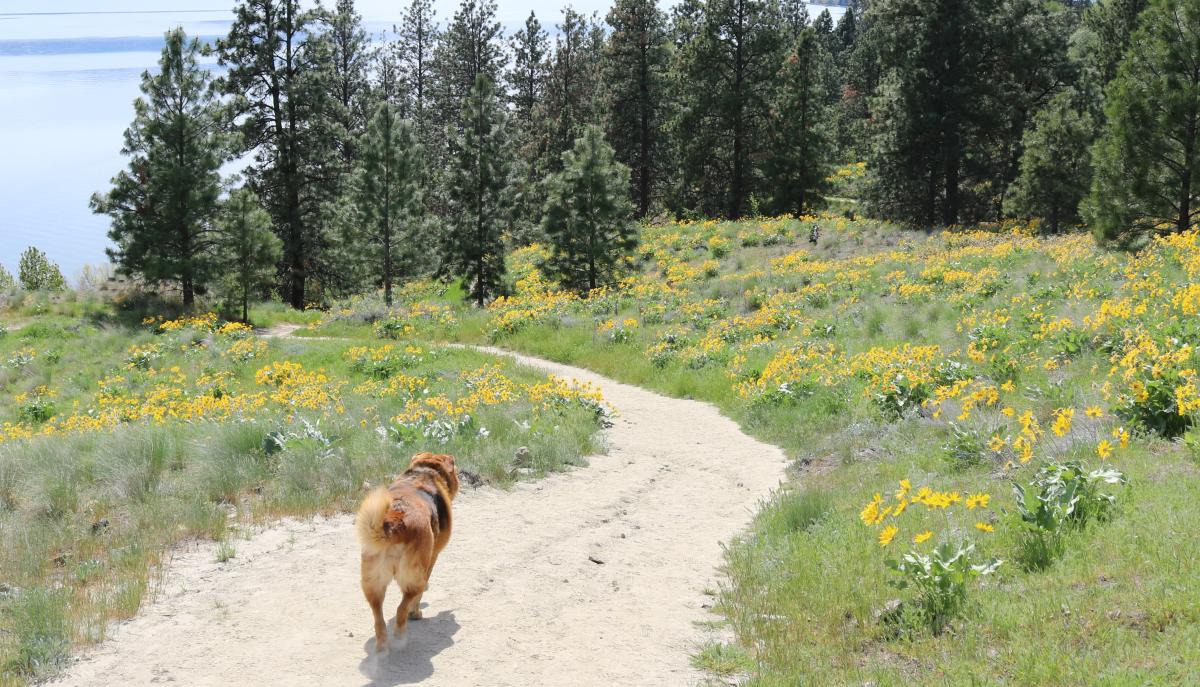 Kalamoir Park hiking trail