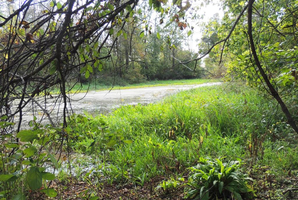 Glenn Thompson Reserve