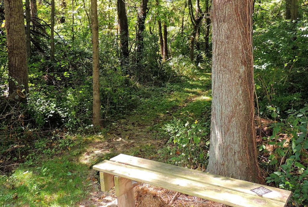 Kinsey Road Mound
