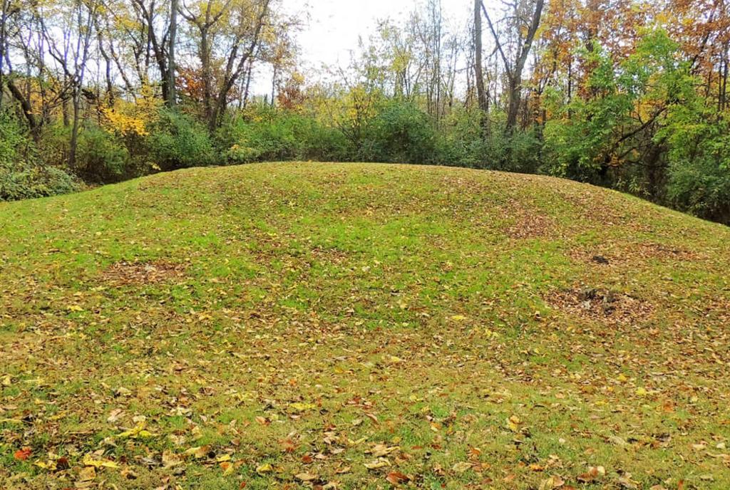Kinsey Road Mound