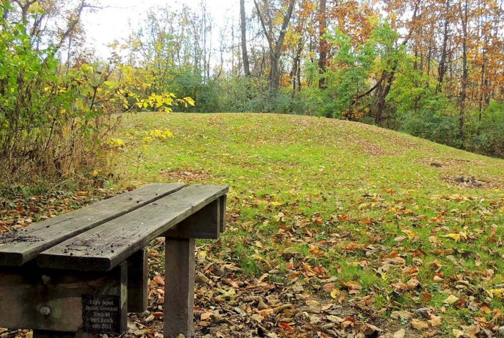 Kinsey Road Mound
