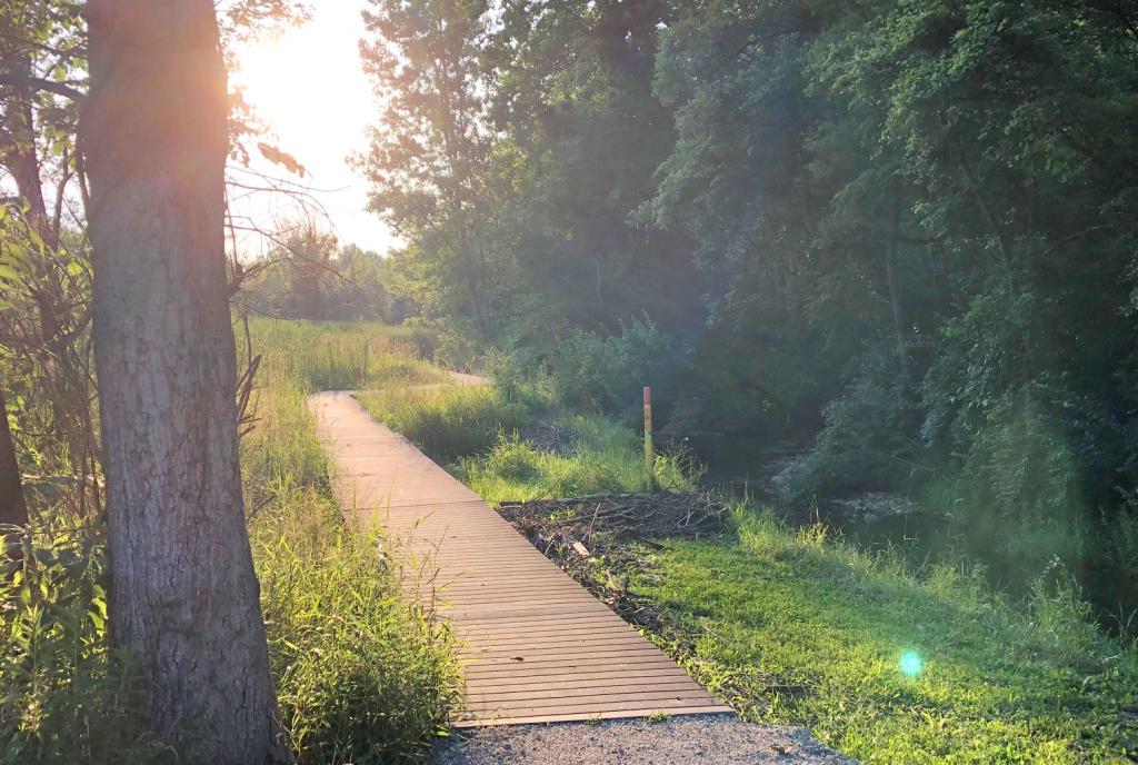 Sara Lee Arnovitz Nature Preserve