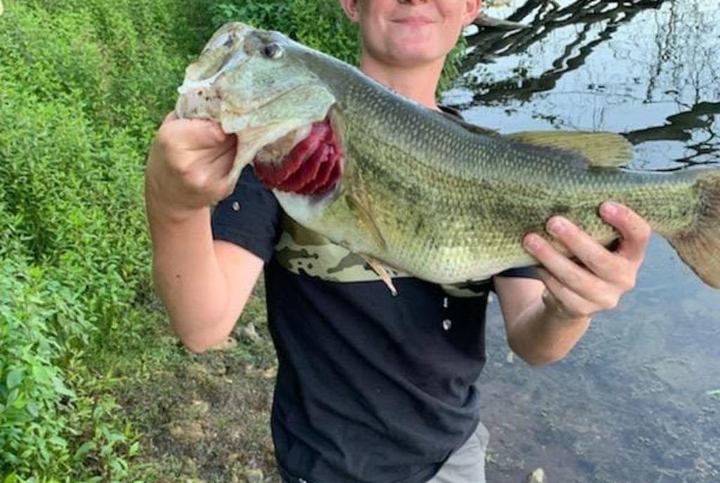 Spring Lakes Park