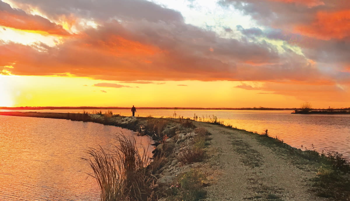 TerrellsIsland_Trails