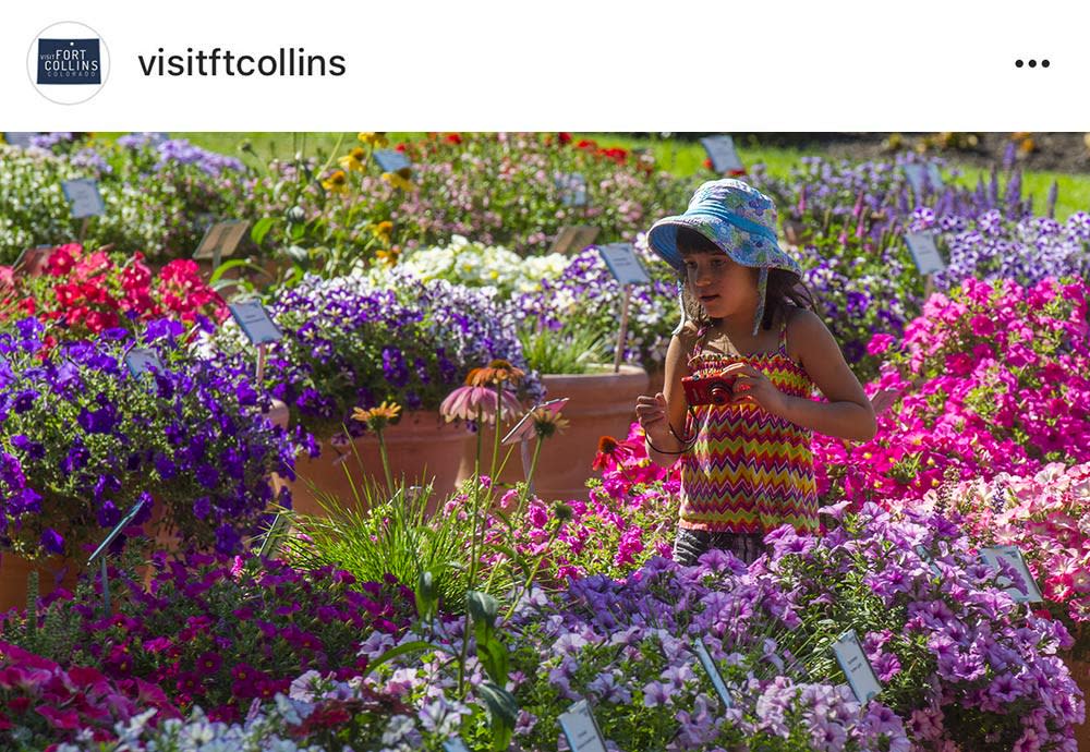 Instagrammable-CSU-Flower-Trial-Garden