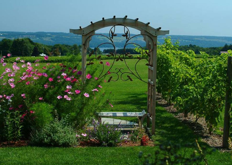 Lucas Vineyards