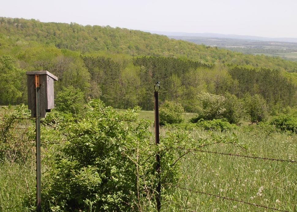 Finger Lakes National Forest