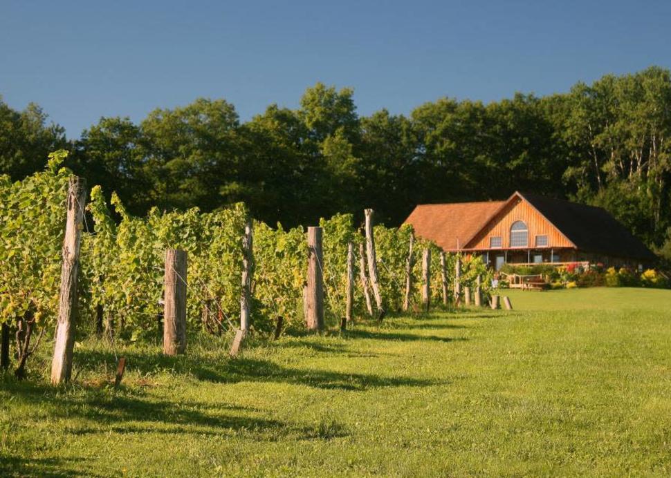Buttonwood Grove Winery