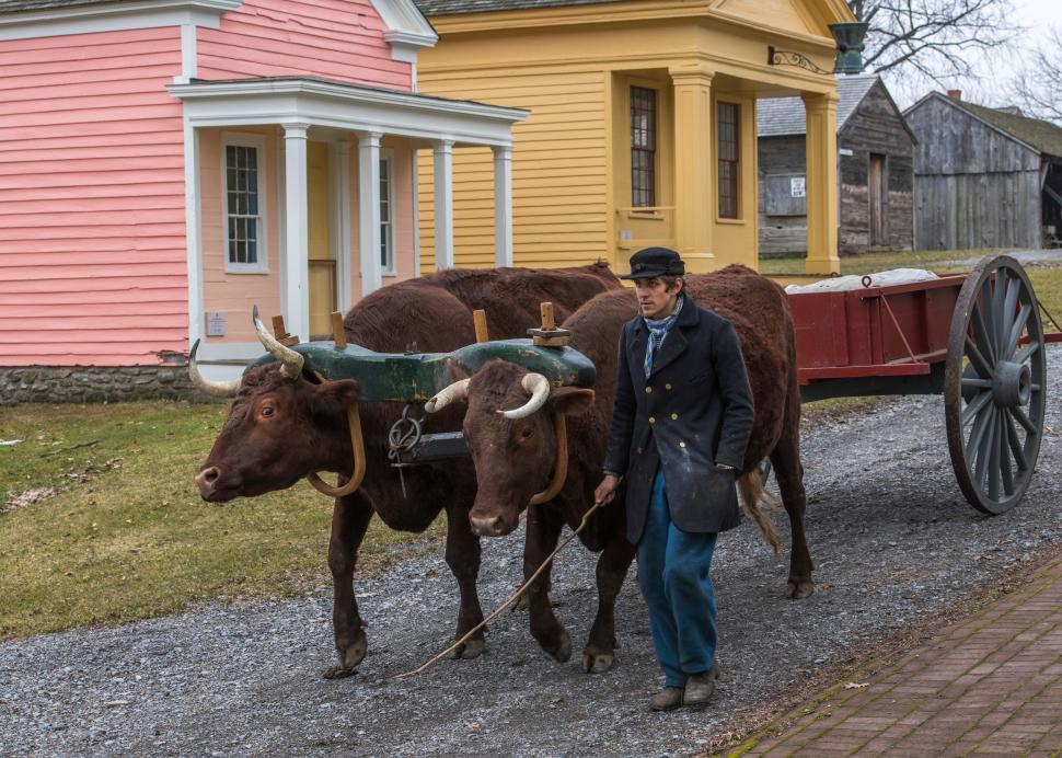 Genesee Country Village & Museum