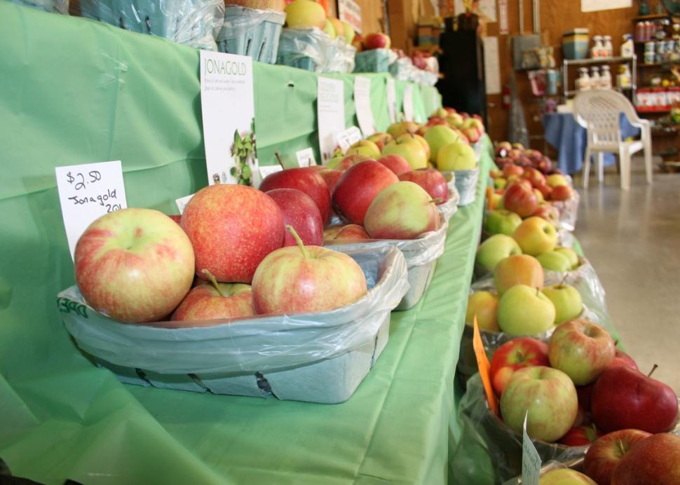 Farm fresh apples inside the market