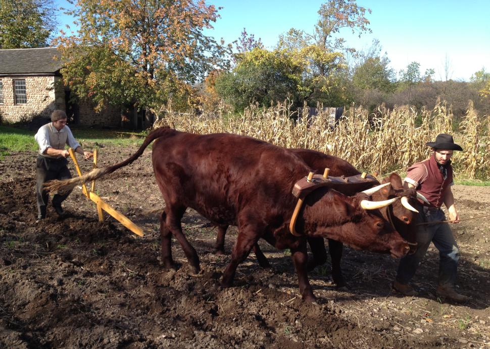 Plowing