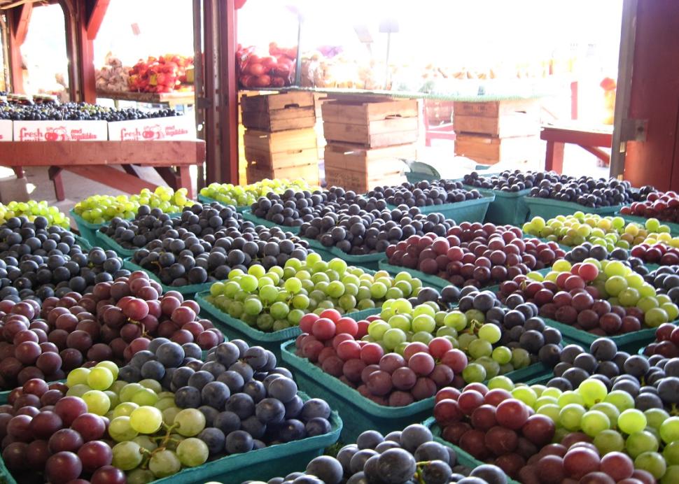 joseph-swayside-market-naples-interior