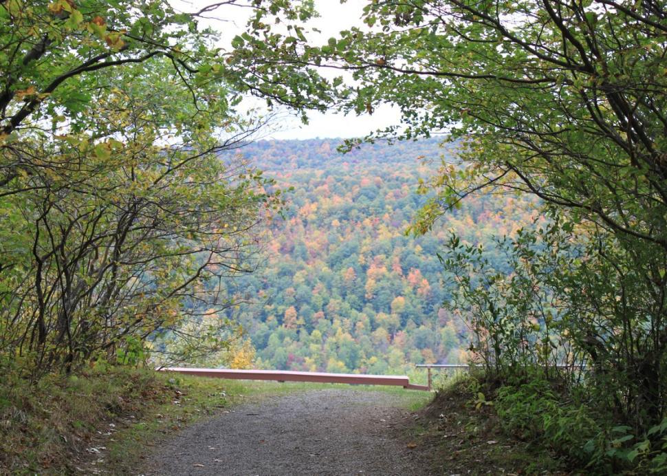 Trail leading to an overlook at Ontario County Park