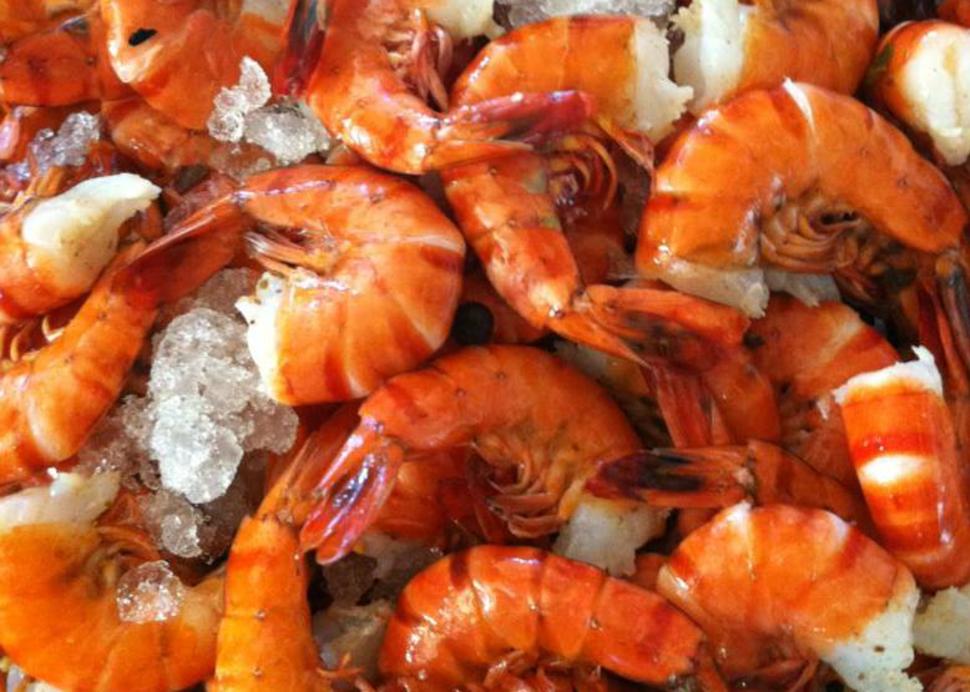 Shrimps!.jpg