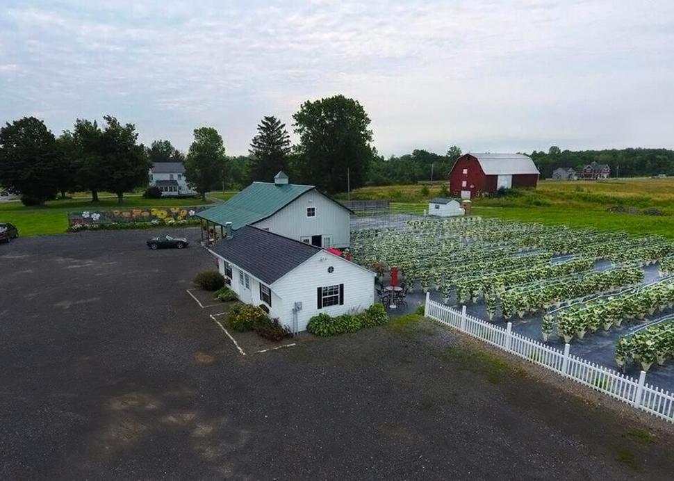 STRAWBERRY FIELDS AERIAL IMAGE