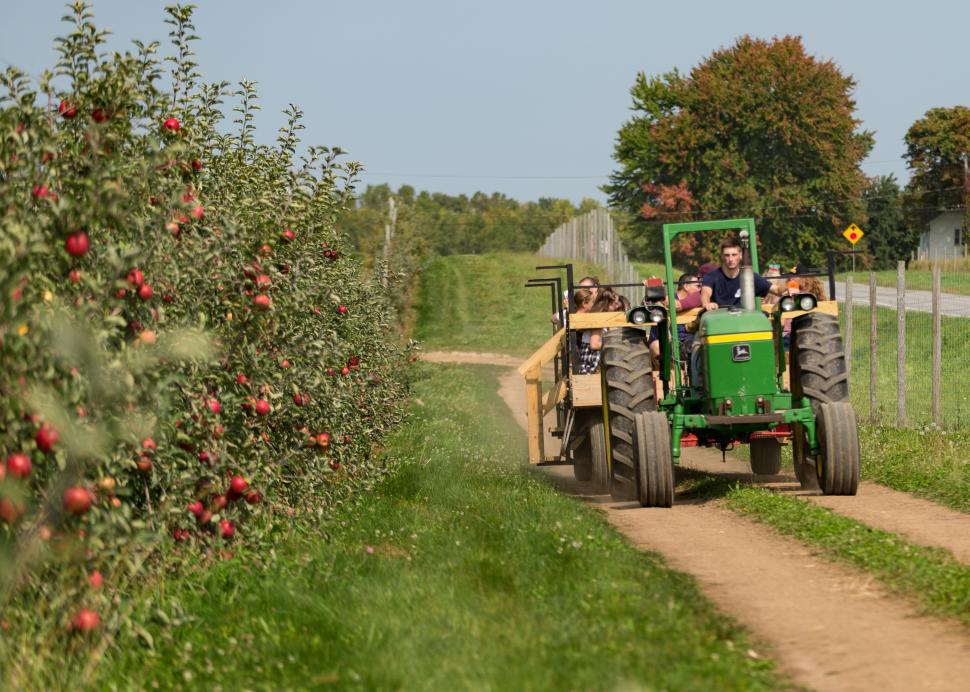 apple orchard hayride