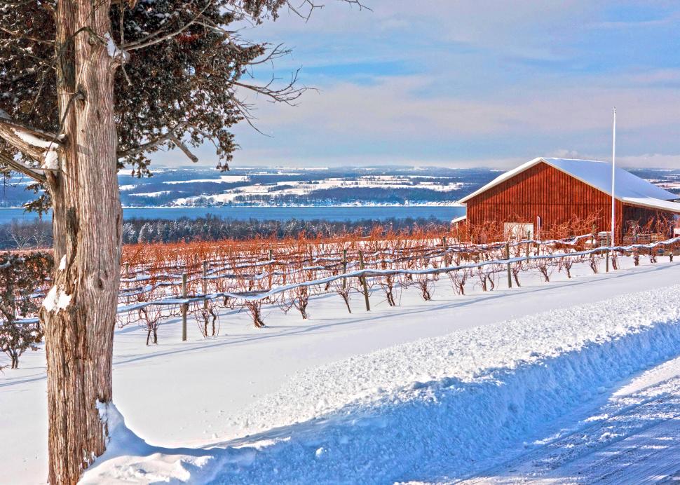 Long Point Winery in the Winter