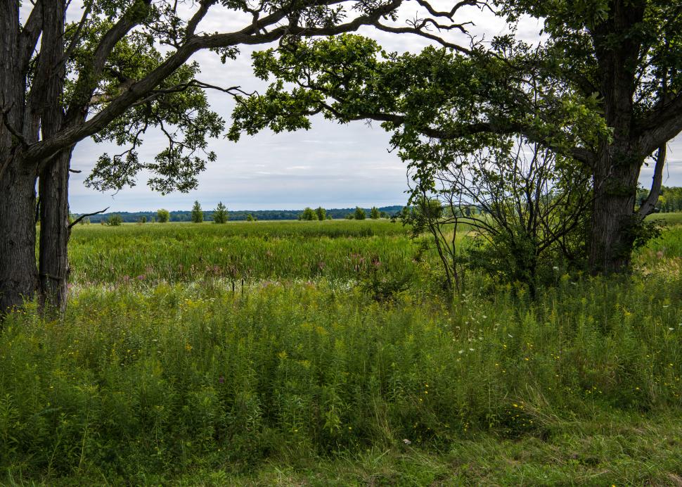 Montezuma National Wildlife Refuge