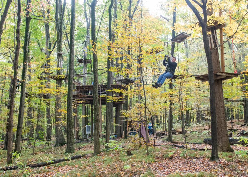 Wideshot of the Bristol Mountain Ariel Adventures treetop Obstacle Course