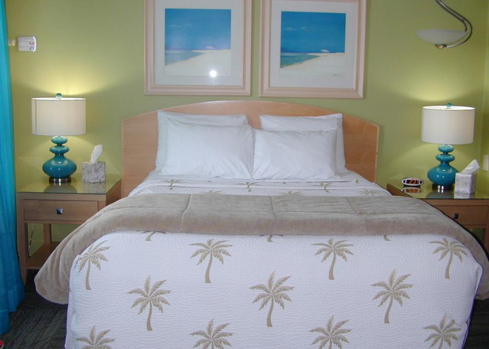miami-motel-canandaigua-palm-bed