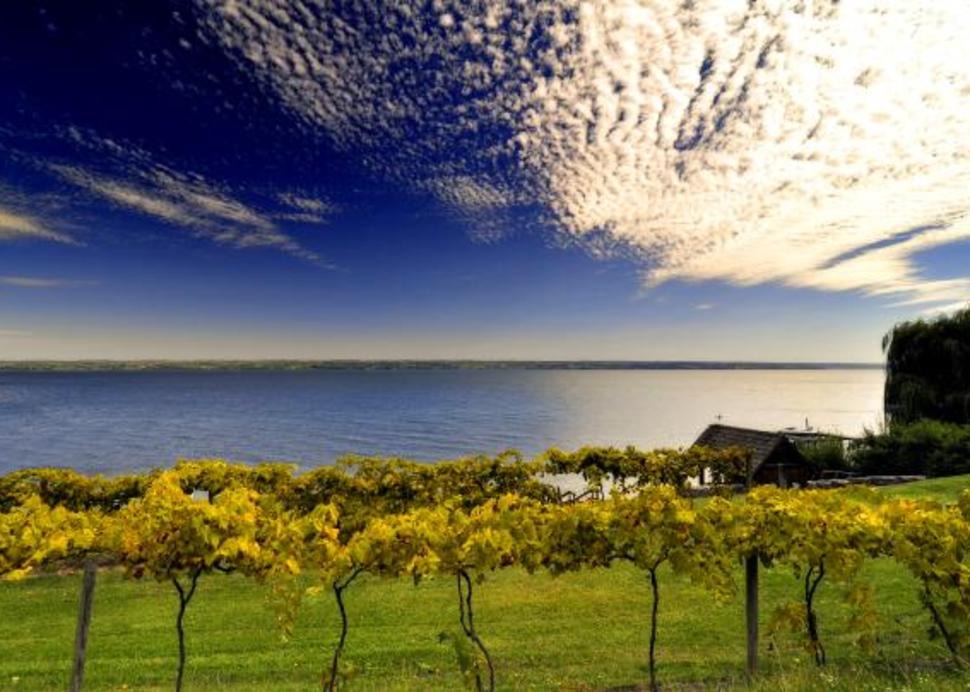 Cayuga_Lake_Wine_Trail_Lake_Shot