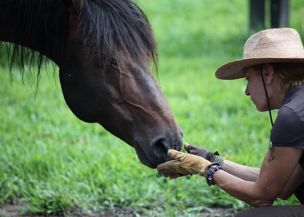 Paula Josa-Jones connecting with a horse