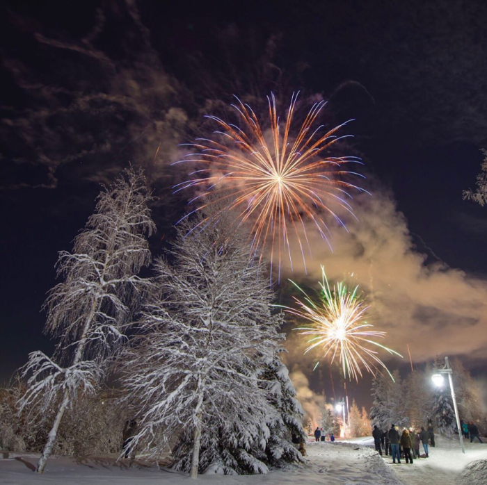 Fireworks light up the sky over a park with snowy trees in winter