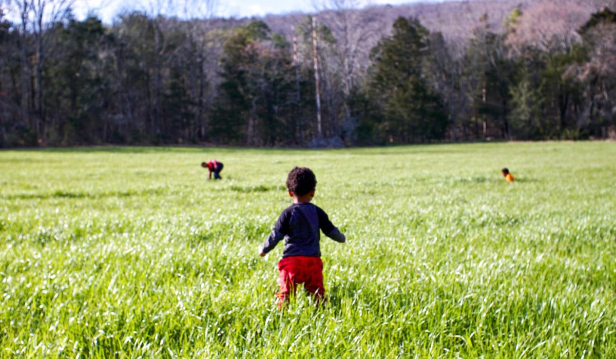 bethel springs kids zenovia stephens