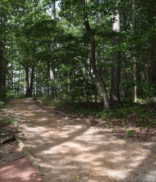 Ramsey Creek Park Trail