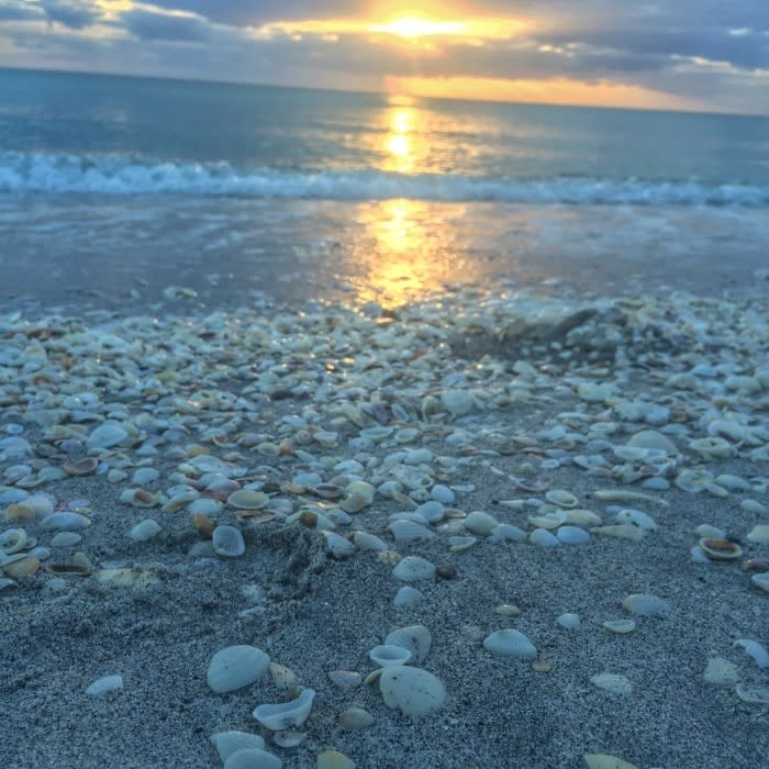 Stump Pass Sunset - Blog