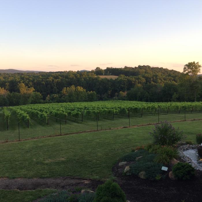 Cana Vineyards & Winery - Loudoun County,  VA